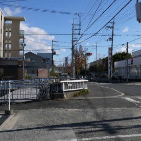 桜北町第五保育園の写真2