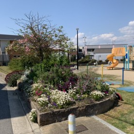 特区小規模保育事業　ふくろうの森学園の写真2