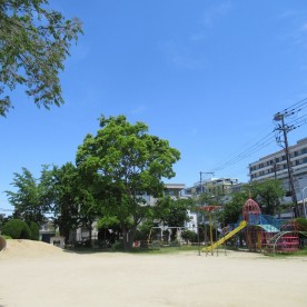 認定こども園岸部第一幼稚園