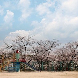 認定こども園佐竹台幼稚園の写真2