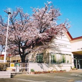 馬場幼稚園の写真2