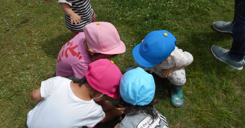 幼保連携型認定こども園本宮のもり幼保園
