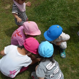 幼保連携型認定こども園本宮のもり幼保園