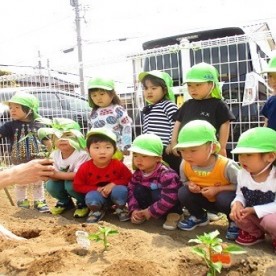 幼保連携型認定こども園松陽こども園