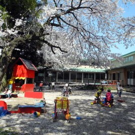 桜木幼稚園