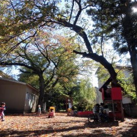 桜木幼稚園の写真2