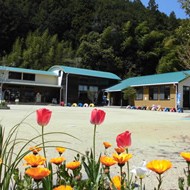 光明幼稚園の写真2