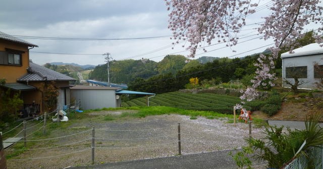 吉原保育園