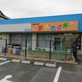 おおきな木