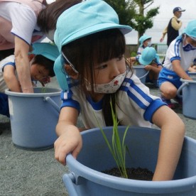 杉田幼稚園の写真2