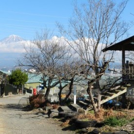 野中こども園の写真2