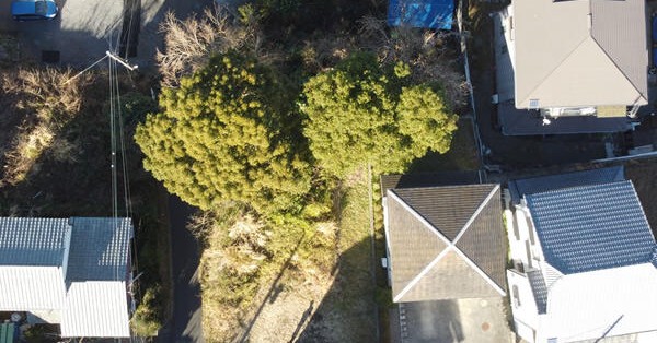 伊東市立荻幼稚園