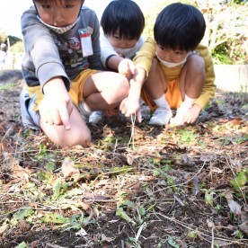 野間自由幼稚園