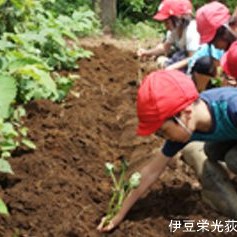伊豆栄光荻保育園