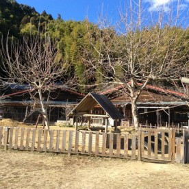 たけのこ保育園