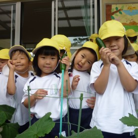 小川幼稚園の写真3