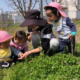 モコ宮脇保育園
