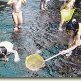 向南幼稚園の写真2