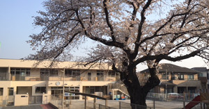 多摩小ばと保育園