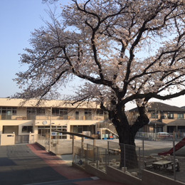 多摩小ばと保育園の写真3