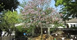 同仁美登里幼稚園