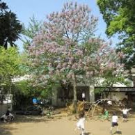 同仁美登里幼稚園