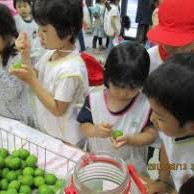 同仁美登里幼稚園の写真2