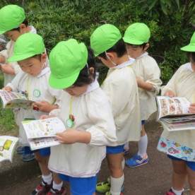 聖徳学園多摩中央幼稚園の写真5