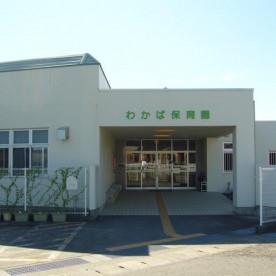 わかば保育園の写真3