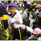 帝京大学幼稚園の写真4