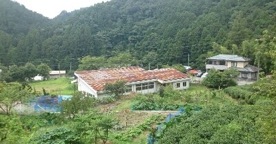 熊幼稚園