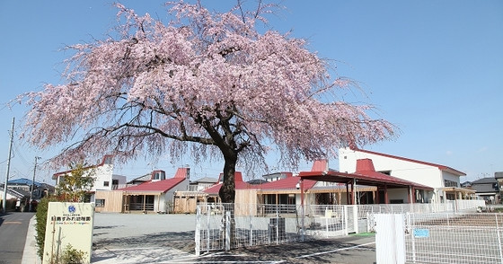 昭島すみれ幼稚園