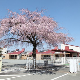 昭島すみれ幼稚園