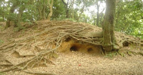 袋井南幼稚園
