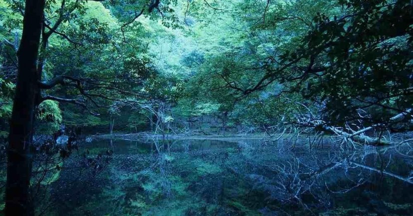 稲取保育園
