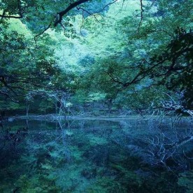 稲取保育園