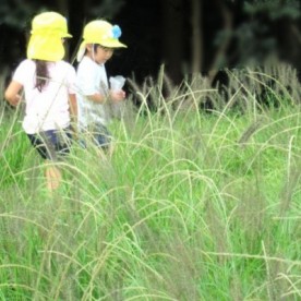 認定こども園エルフのみらい