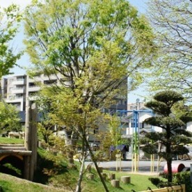 あそかこども園