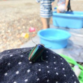 もりのいえ保育園