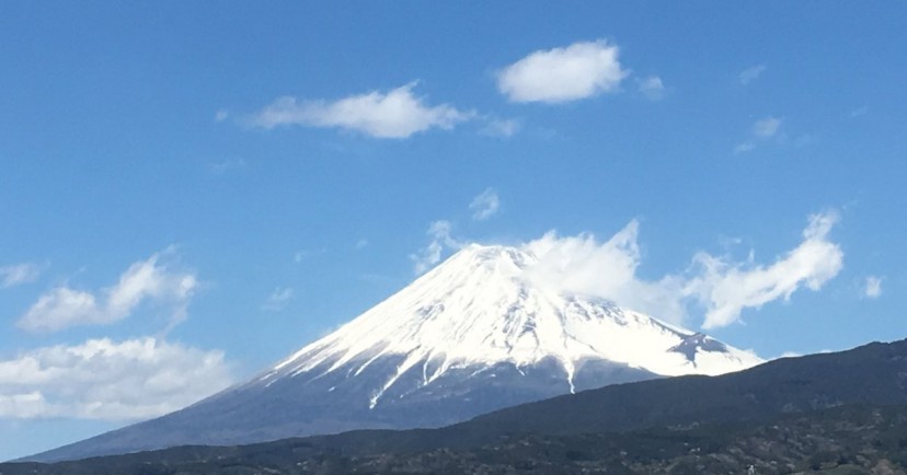 かぴらばす保育園