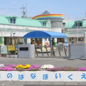 ふじの花保育園