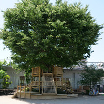 日本女子大学附属豊明幼稚園