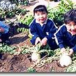 足立愛育幼稚園の写真3