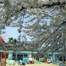 旭ヶ丘幼稚園