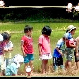 是川保育園の写真3