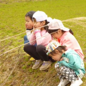 若葉こども園の写真1