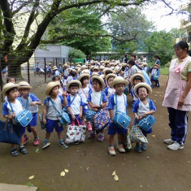 みどりが丘保谷幼稚園の写真5
