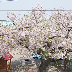 幼保連携型認定こども園二川目保育園の写真2