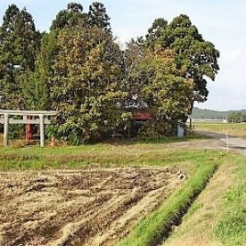 くらいしこども園の写真1