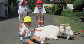 杉野幼稚園
